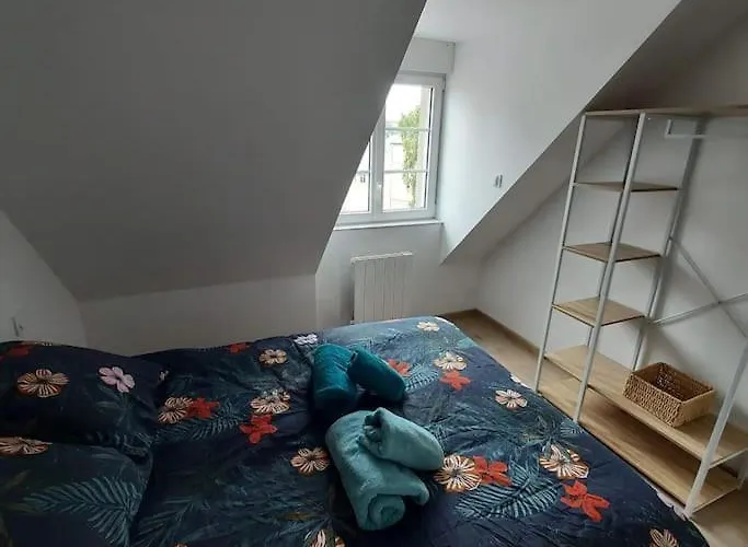 Bel Appartement F2 Hyper Centre Refait A Neuf