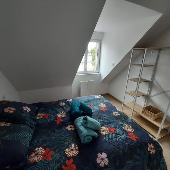 Apartment Bel F2 Hyper Centre Refait A Neuf *